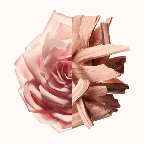 Irresistible Nude Velvet - Eau de Parfum GIVENCHY 
